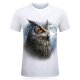 Men large size T-shirt, 3D, animal print round neck