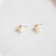 Woman pearl earrings stainless steel earrings classic fashion jewelry