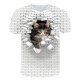 Men Beach Fashion, T-Shirt, Color Block, 3D, Animal Printed Round Neck, Short Sleeve